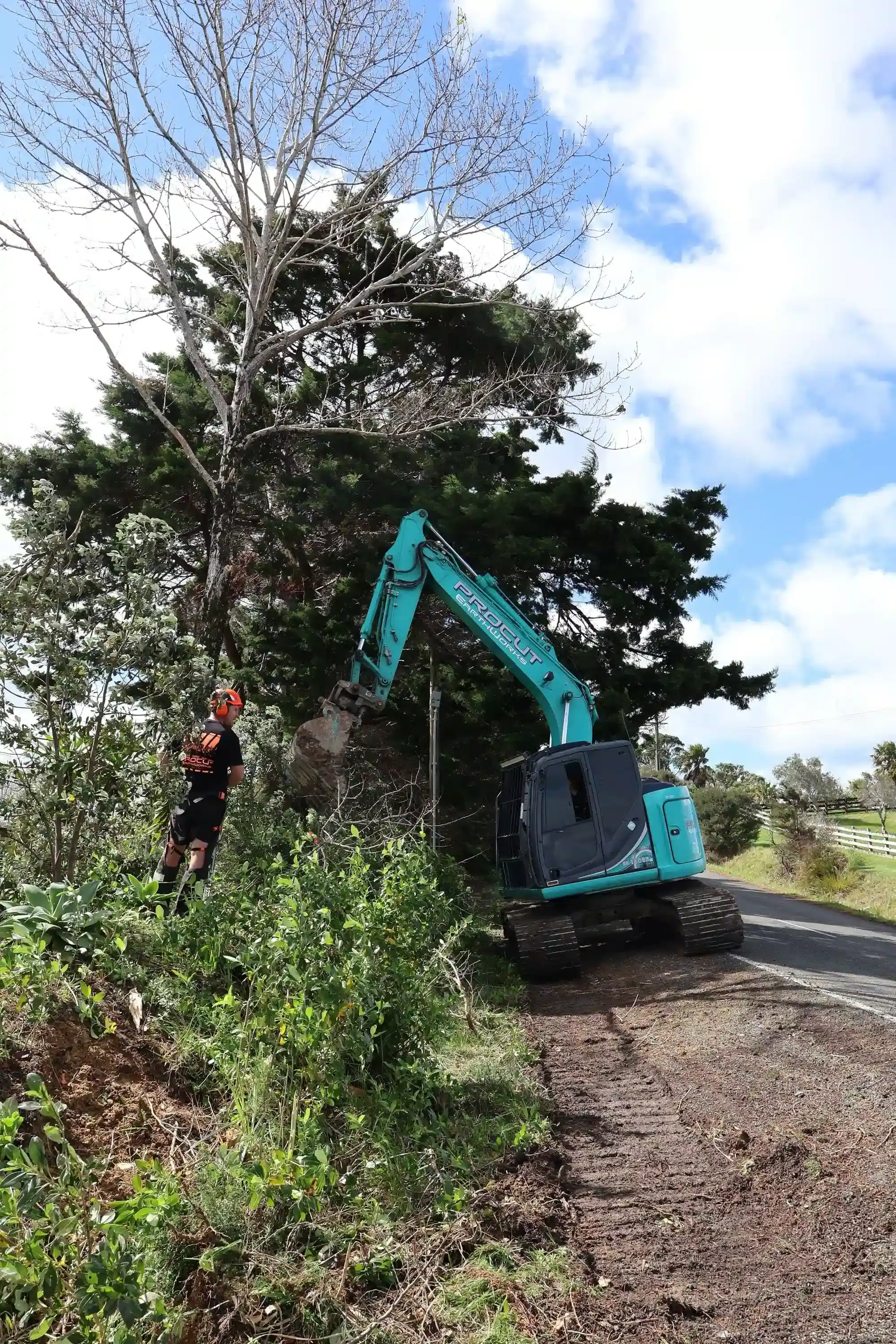 tree removal 2 e1759486485843