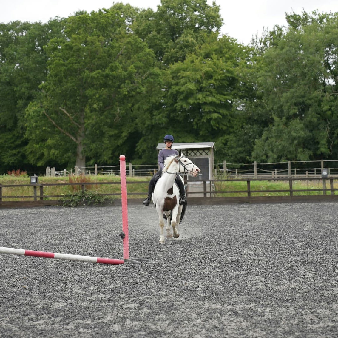 horse arena construction
